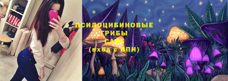 Галлюциногенные грибы MAGIC MUSHROOMS  Спасск-Рязанский 